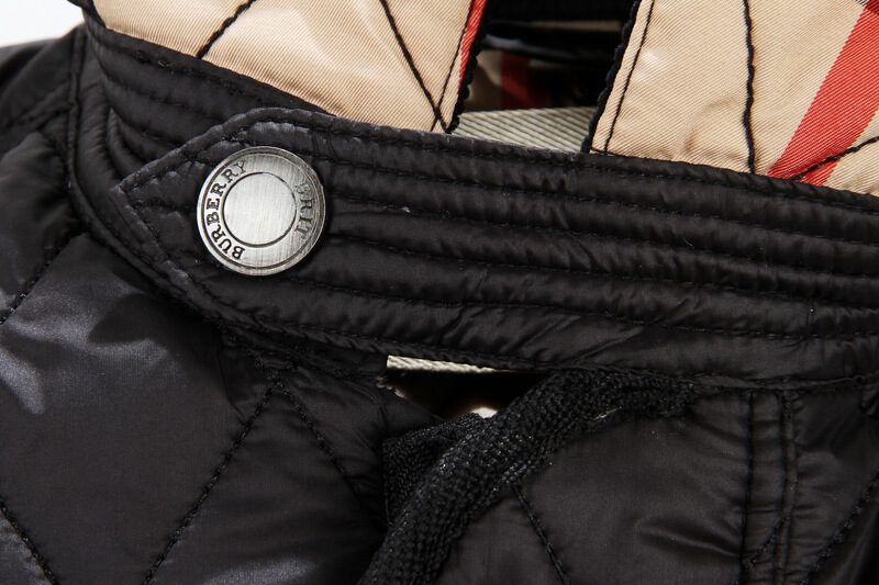 ברברי - BURBERRY JACKET- Jaguar – תמונה 12